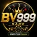 bv999-logo