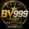 bv999-logo